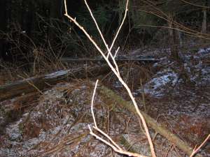 Hollyburn Chairlift-Tower