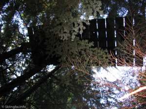 Hollyburn Chairlift-Tower?