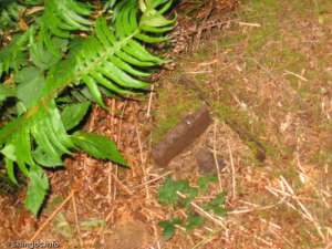 Hollyburn Chairlift-Remains of Tower