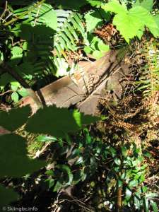 Hollyburn Chairlift-Remains