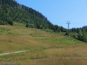 Midway-Upper Liftline