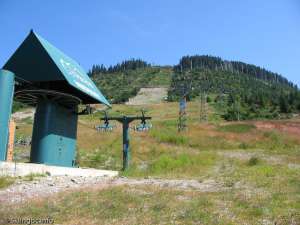 Midway-Bottom Station