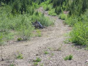 Old Chair-Sheaves, ect