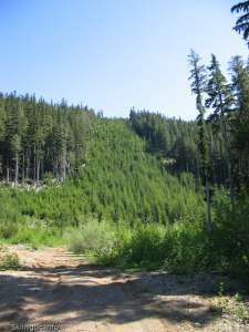 Ski Run-This run appears to have been a future expansion plan, there could have been a lift up to the Upper Arrowsmith area.