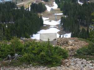 Blue Double-Down Line