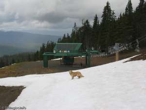 Boomerang Quad-Bottom Station