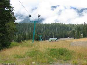 Discovery Platter-Down Line