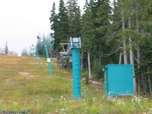 Discovery Platter-Up Line