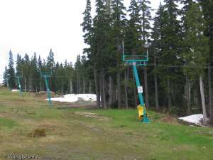 Discovery Platter-Up Line