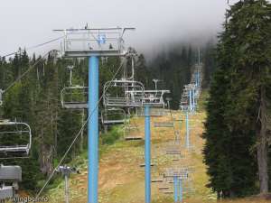 Eagle Express-Up Line