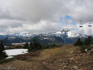 Eagle Express-Down Line