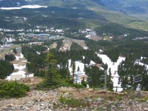 Eagle Express-Down Line