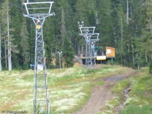 Green Double-Up Line