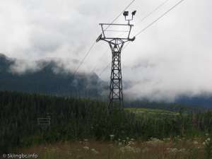 Green Double-Down Line