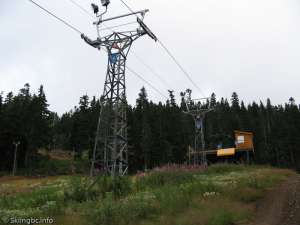 Green Double-Up Line