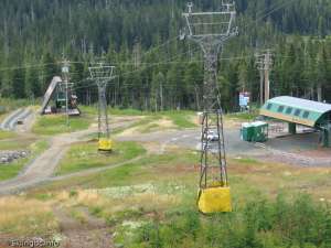 Green Double-Down Line