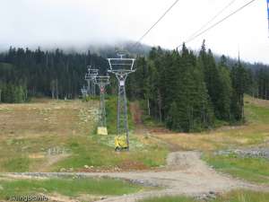 Green Double-Up Line