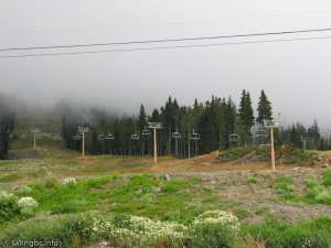 Hawk Six Pack-Up Line