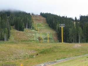 Whiskey Jack Triple-Up Line