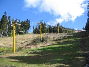 Whiskey Jack Triple-Up Line