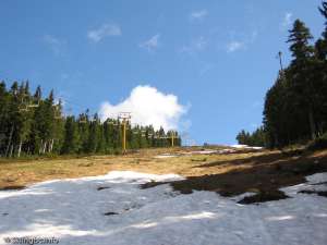 Whiskey Jack Triple-Up Line