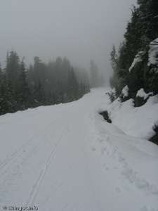 Callaghan Mainline-Near the bottom