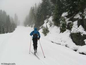 Callaghan Mainline-Near the bottom