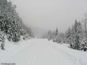 Callaghan Mainline-Skiing