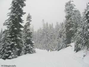 Callaghan Mainline-Skiing