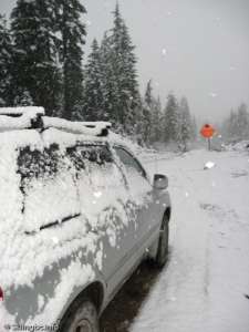 Callaghan Mainline-The Car After