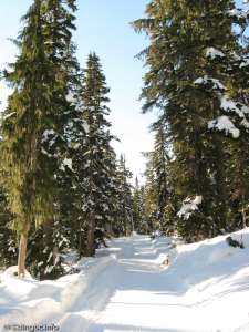 Callaghan Lake Connector-