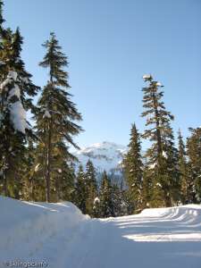 Callaghan Lake Connector-