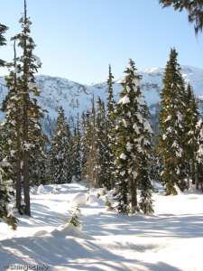 Callaghan Lake Connector-