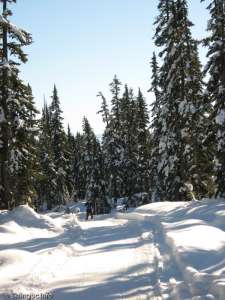 Callaghan Lake Connector-