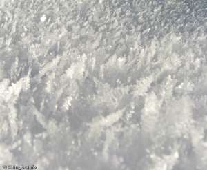 Powder Snow Crystals-Like never before