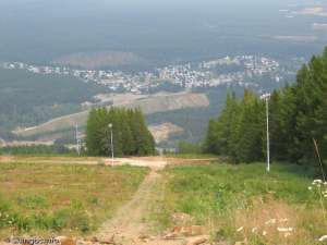 Maverick T-bar-Down Line