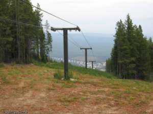 Rosa Triple-Down Line