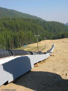 Magic Carpet-Liftline