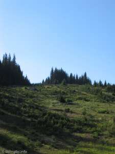 Old Lift-Liftline, opposite the main mountain at the Upper Parking Lot