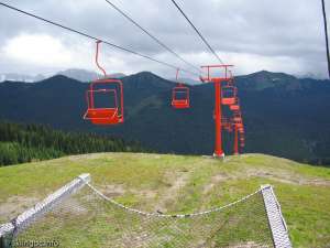 Orange Chair-Down Line