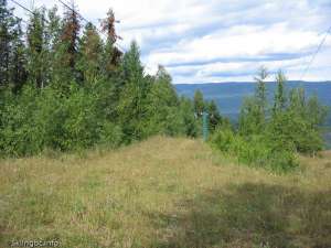 T-bar-Unloading Area