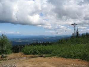 Orange Chair-Down Line