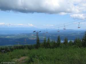 Orange Chair-Lower Liftline