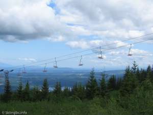 Orange Chair-Chairs on Line