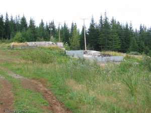 Forbidden Plateau-Lodge Remains