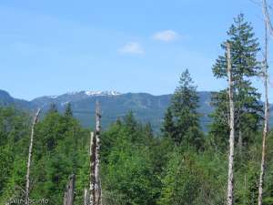 Forbidden Plateau-Ski Area from Inland Highway
