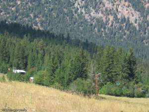 Huser Triple-Down Line