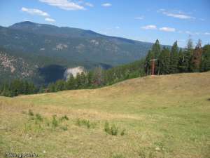 Huser Triple-Down Line