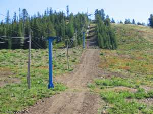 McKinney T-bar-Up Line