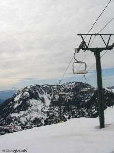 Sasquatch Chair-Down Line